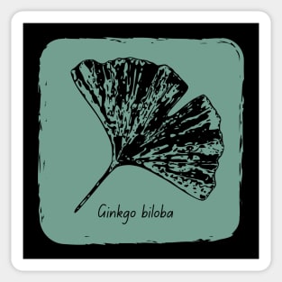 Ginkgo biloba black Sticker